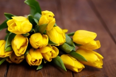 Tulipe