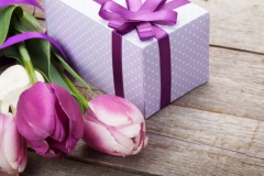 Tulipe