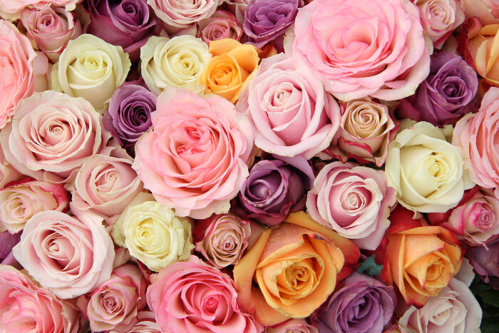 Langage des Fleurs