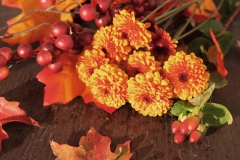 Chrysanthème