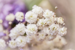 Fleurs Blanches