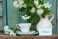 Jasmin